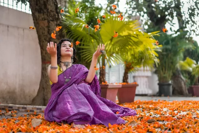 Cotton Saree