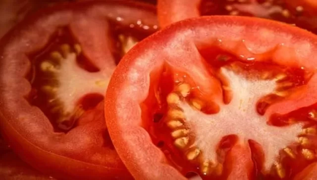 Canned Tomatoes
