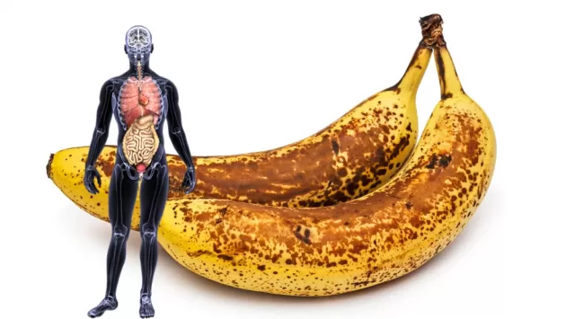 Normal Fruits