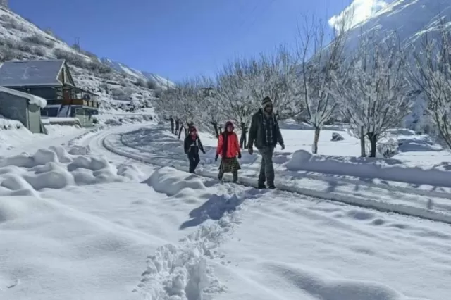 Sandakphu, West Bengal