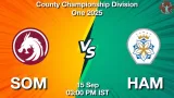 SOM vs HAM