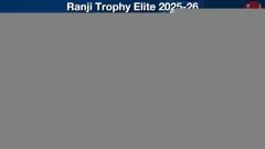 TN vs VID Match Prediction Picture