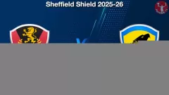 NSW vs TAS Match Prediction Picture