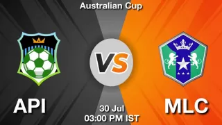 API vs MLC