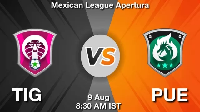 TIG vs PUE Dream11 Team Prediction, Fantasy Football Tips