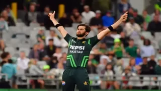 5 Highest Wicket-Takers In BAN vs PAK T20Is