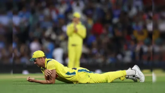 another injury hit to australia josh hazlewood ruled out of t20 world cup