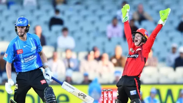 Big Bash league 2022-23: Melbourne Renegades Squad,