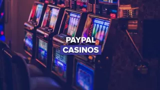 CasinoWizard’s Picks for the Best PayPal Casinos for Beginners CasinoWizard’s Picks for the Best PayPal Casinos for Beginners
