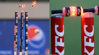 Cricket Stumps Height and Price? When