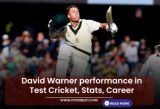 David Warner performance in Test Cricket, Stats, Career