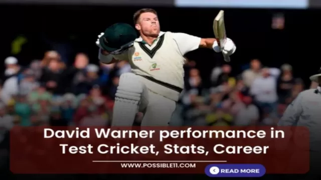 David Warner performance in Test Cricket, Stats,