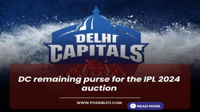 DC remaining purse for the IPL 2024