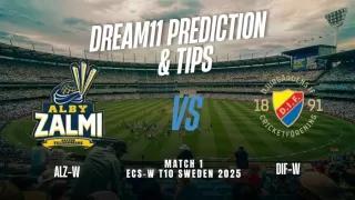 ECS-W T10 2025 ALZ-W vs DIF-W: