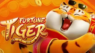 Fortune Tiger & BC Game Dice: