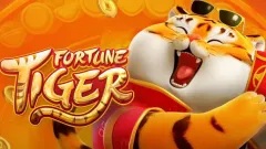 Fortune Tiger & BC Game Picture
