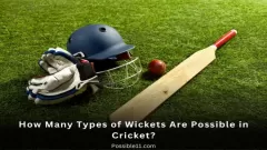 How Many Types of Wickets Picture