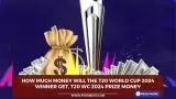 How much money will the T20 World Cup 2024 winner get, T20 WC 2024 prize money