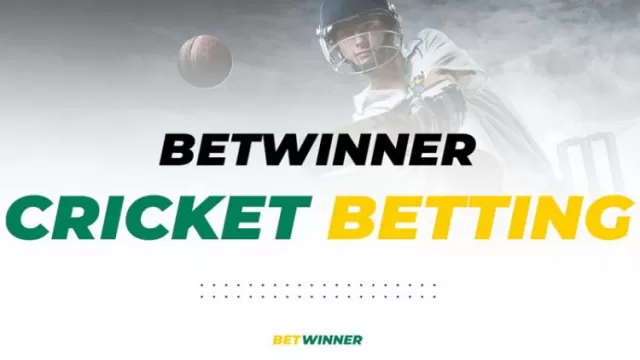 How to Bet on Cricket with Betwinner