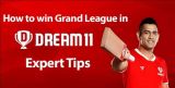 How to win Grand League in Dream11? - Possible11