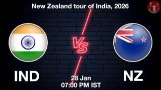 IND vs NZ 4th T20I, Pitch