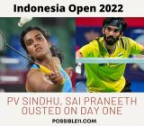 Indonesia Open: PV Sindhu, Sai Praneeth Ousted on Day One