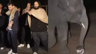 Messi Plays Football With Baby Elephant at Vantara