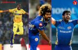 Most dangerous bowler in IPL, Top wicket taker