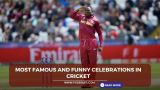 Most famous and Funny celebrations in cricket