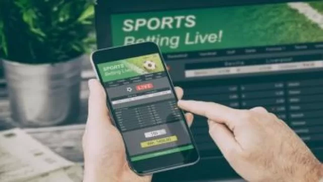 The Most Profitable Sports for Live Bettors