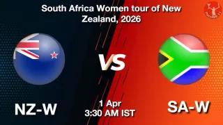 NZ-W vs SA-W 2nd ODI, Pitch