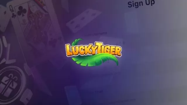 Overview Lucky Tiger: A great choice of