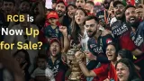 RCB is Now Up for Sale, Diageo Starts the Selling Process