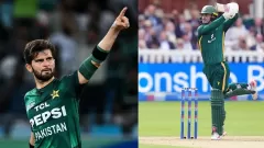 South Africa vs Pakistan 3rd Picture