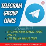 Telegram removed all the channels related to Dream11 Name