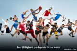 Top 10 highest paid sports in the world