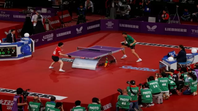 top 10 most popular sports in the world by fan count 5