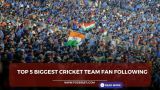 Top 5 Biggest Cricket Team fan Following