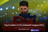 Top 5 raiders in Pro Kabaddi League (PKL)