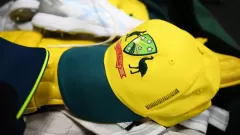 Two Australian Cricketers Molested in Picture