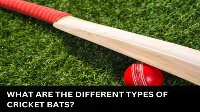 What are The Different Types of Cricket
