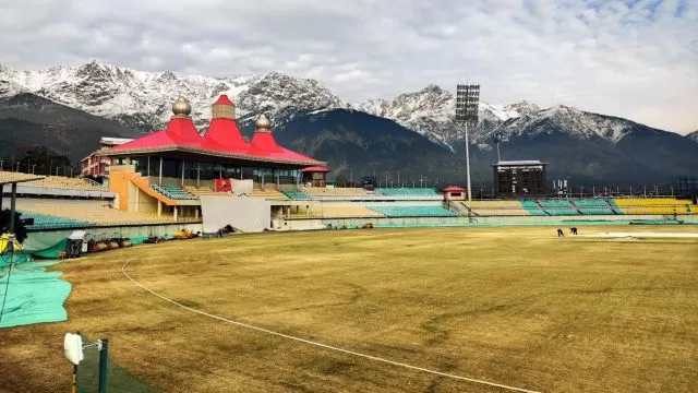 What fans can do to prepare for