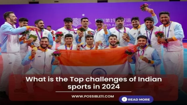 What is the Top challenges of Indian