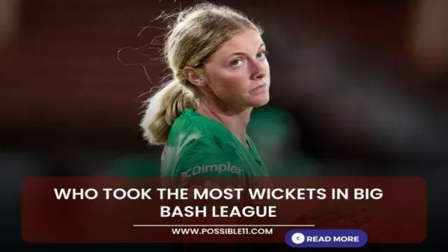 Who took the most wickets in Big