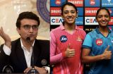 Women's IPL: BCCI Plans a six-team women's IPL from next year