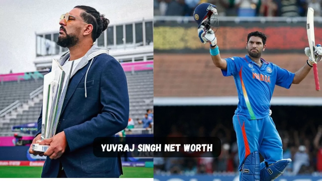 yuvraj singh net worth