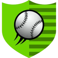 New York Yankees Flag