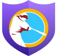 Arizona Diamondbacks Flag