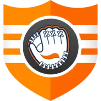 Detroit Tigers Flag