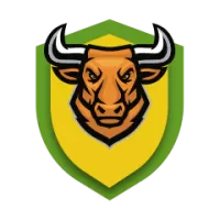 About Lahore Blues Team